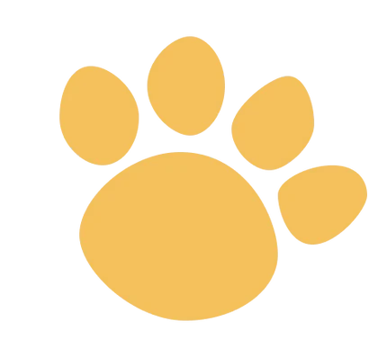 themessagecapsule.com